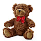 Adorable Plush Bear – Rj Flowers Design, Galloway OH