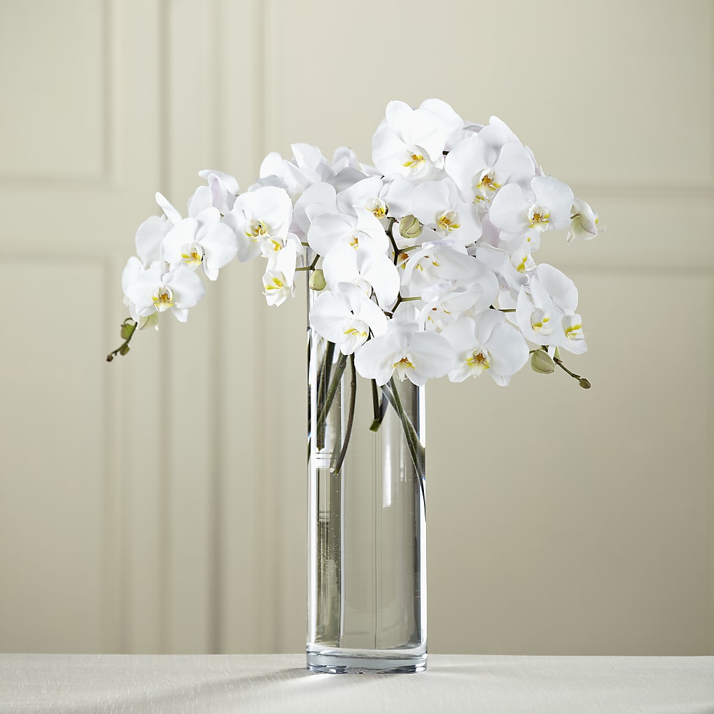 White Phalaenopsis Bouquet – Rj Flowers Design, Galloway OH