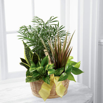 French Garden –  Rj Flowers Design, Galloway OH