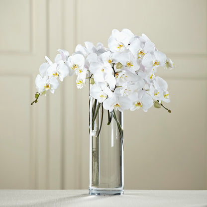 White Phalaenopsis Bouquet –  Rj Flowers Design, Galloway OH